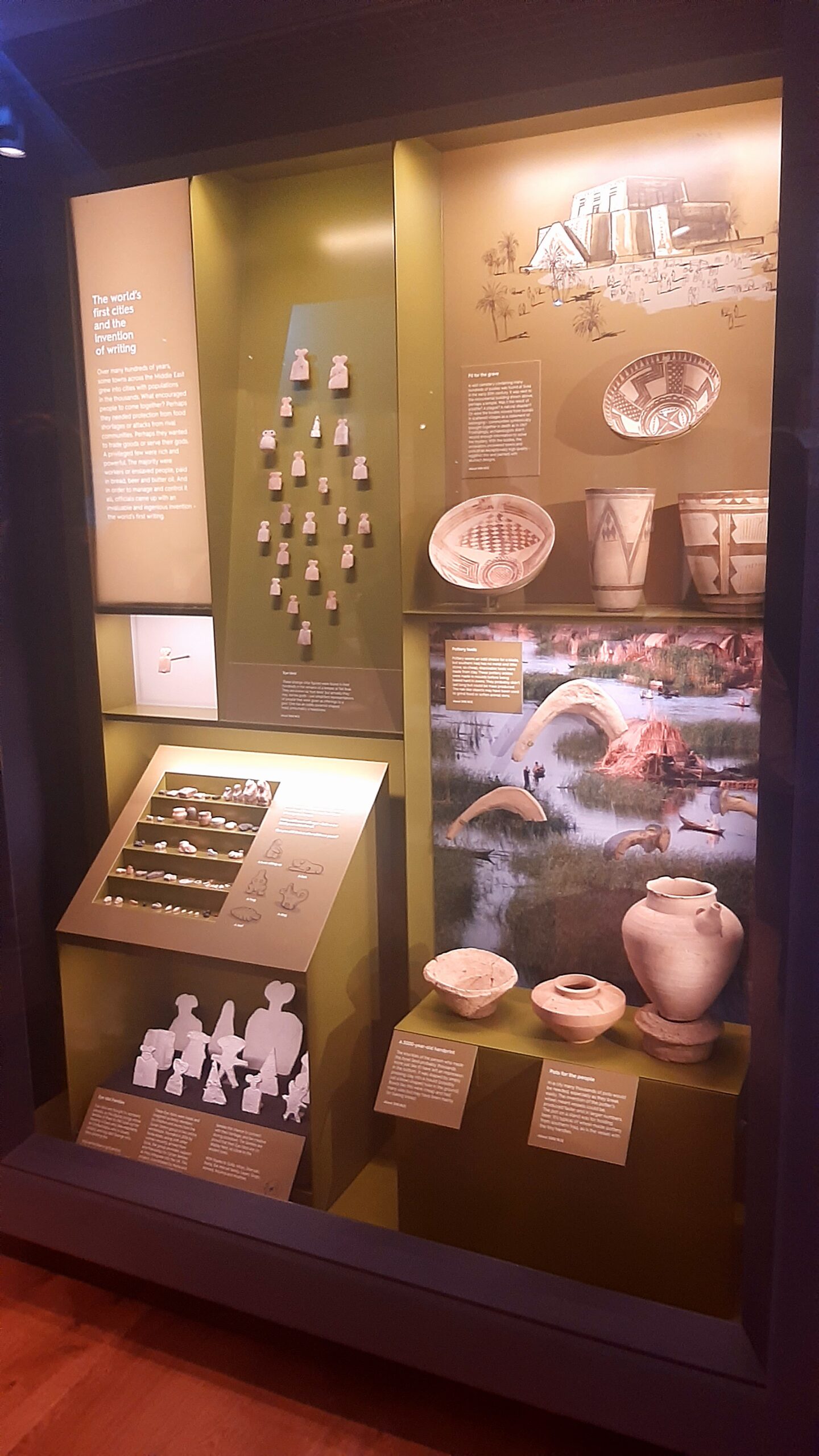 Ashmolean Museum display case