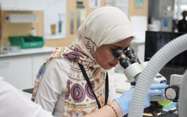 2023 ITP fellow Dina Gohar pictured looking into a microscope