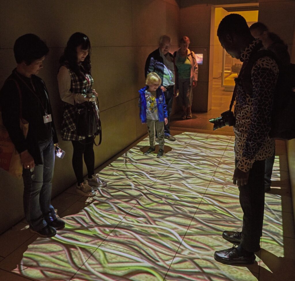 2019 ITP fellows in a digital display at the Great North Museum Hancock, Newcastle