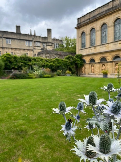 Photograph of a garden.
