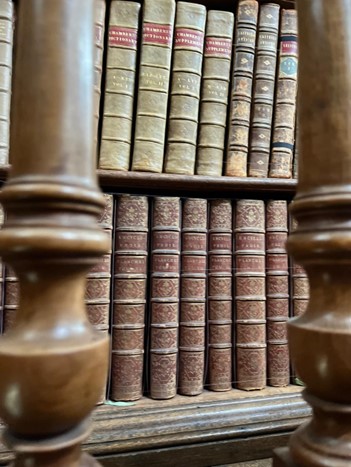 Photograph of a shelf of books.