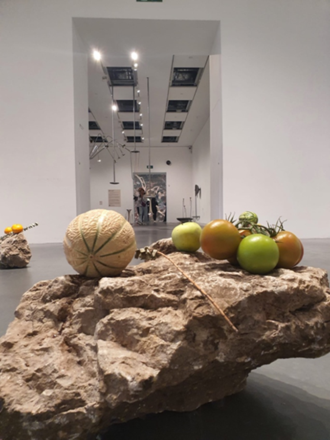 Fruit on a rock