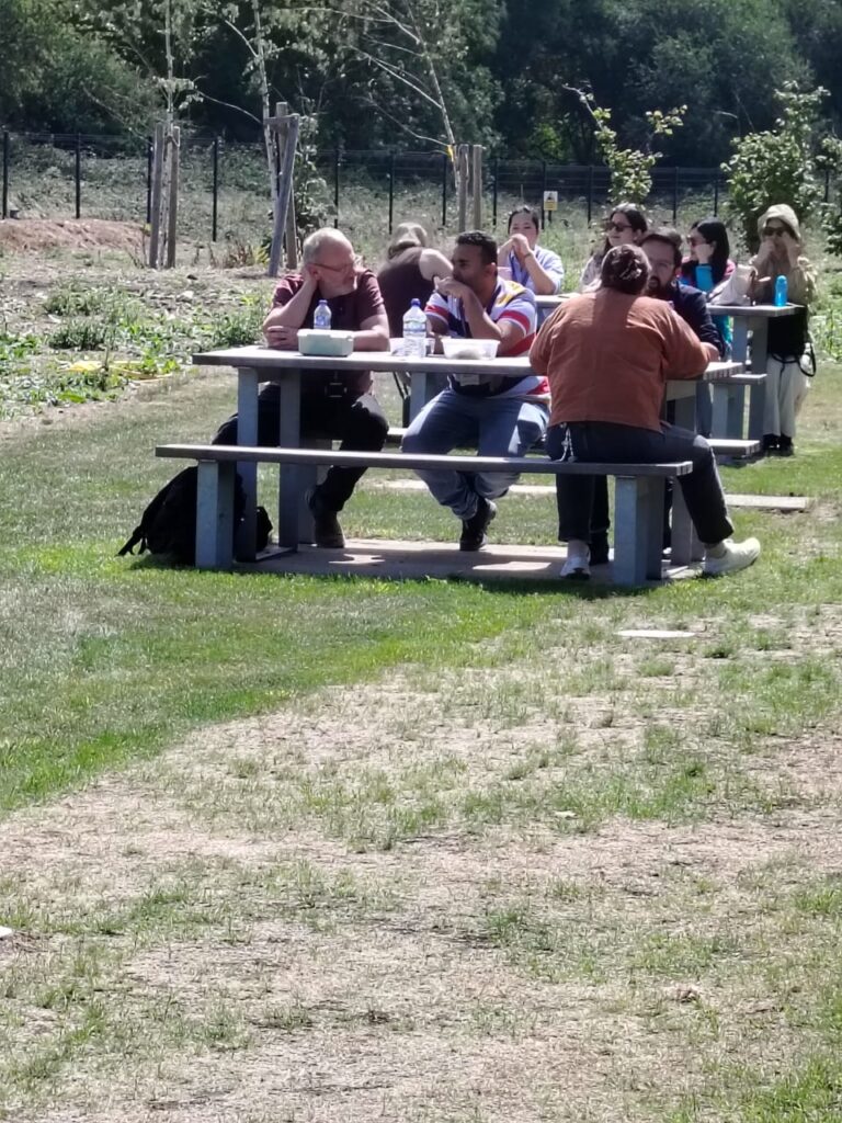 Group of people sitting on picnic table